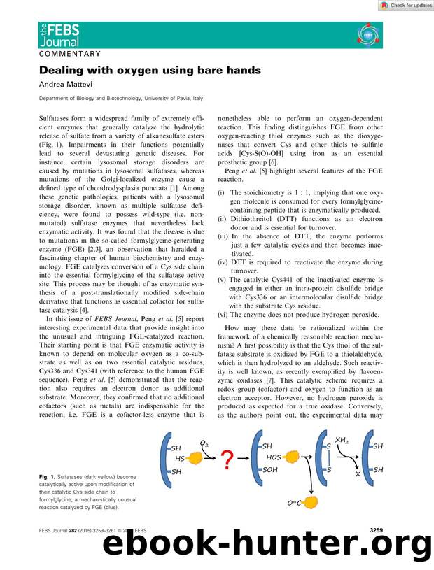 Dealing with oxygen using bare hands by Unknown