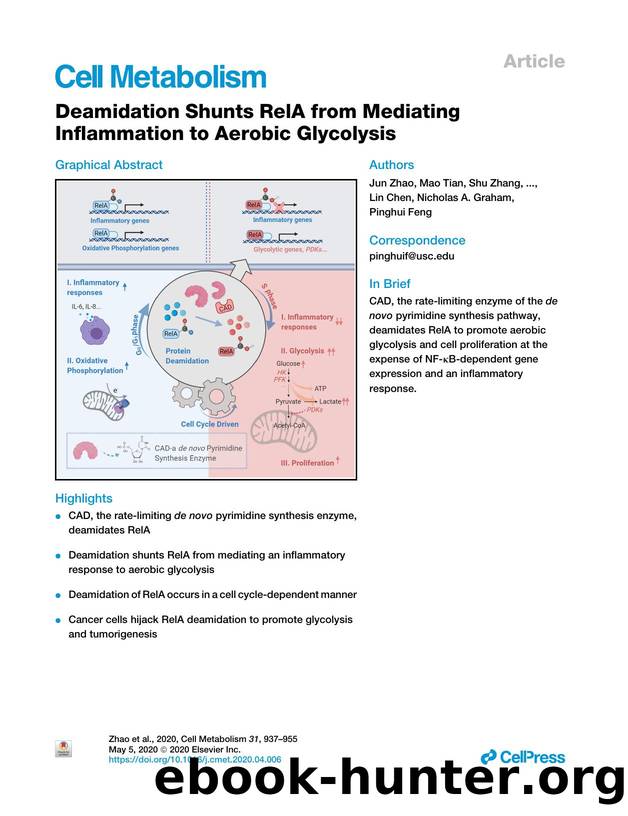 Deamidation Shunts RelA from Mediating Inflammation to Aerobic Glycolysis by unknow
