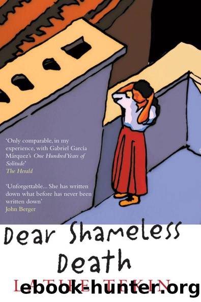 Dear Shameless Death by Latife Tekin