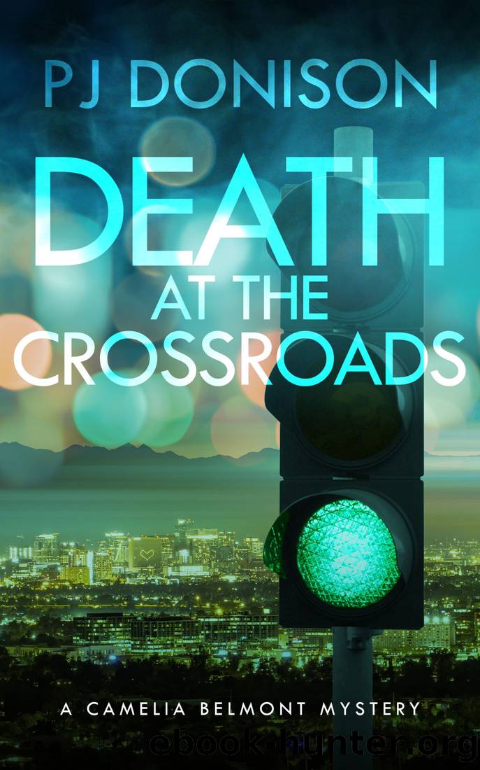 Death At the Crossroads by P.J. Donison