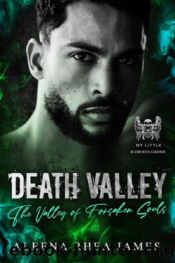 Death Valley: Book I: The Valley of Forsaken Souls : A Dark, Friends to Lovers, Biker Romance by Aleena Rhea James