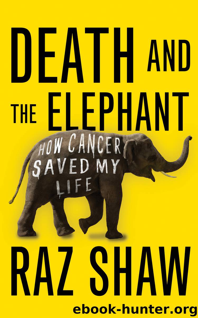 Death and the Elephant by Raz Shaw