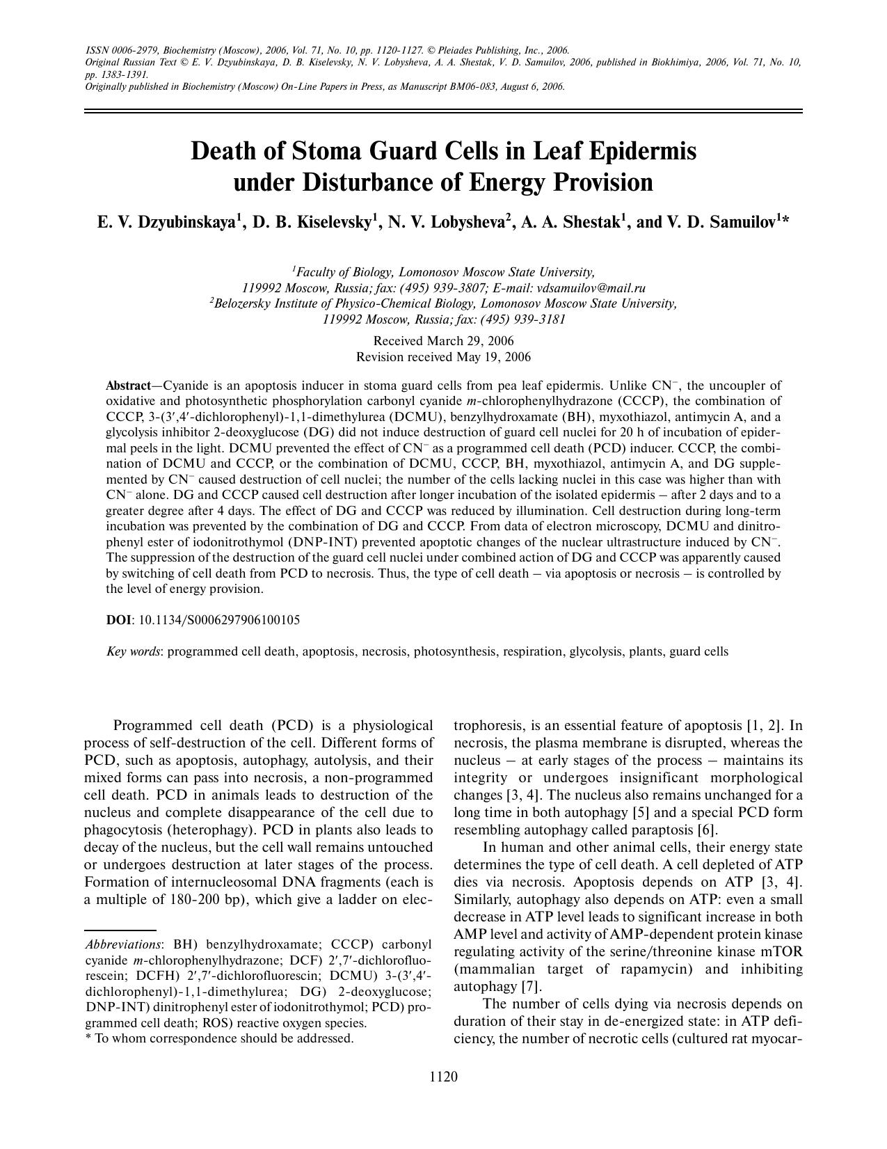 Death of stoma guard cells in leaf epidermis under disturbance of energy provision by Unknown