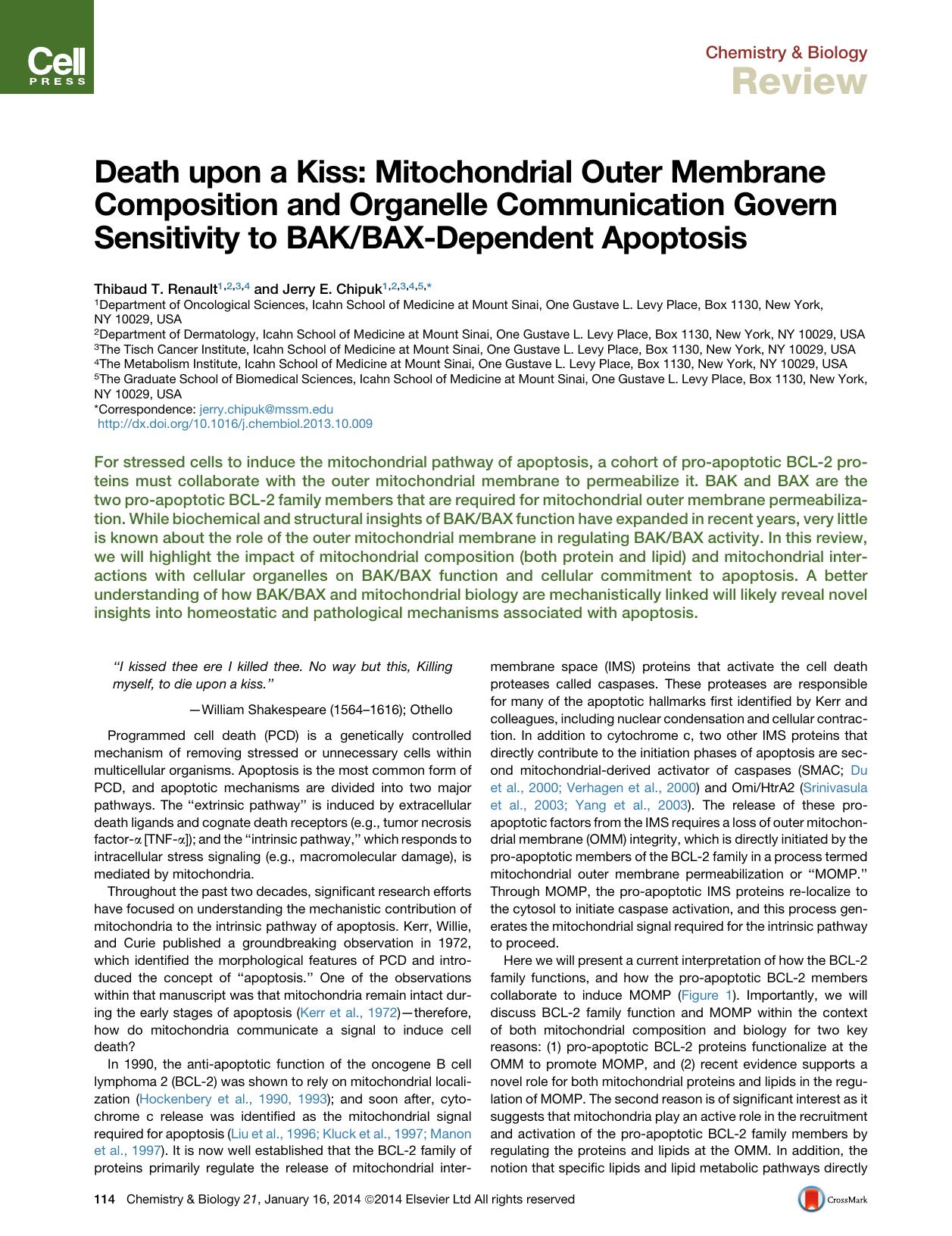 Death upon a Kiss: Mitochondrial Outer Membrane Composition and Organelle Communication Govern Sensitivity to BAKBAX-Dependent Apoptosis by Thibaud T. Renault & Jerry E. Chipuk