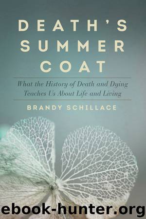Death's Summer Coat by Brandy Schillace