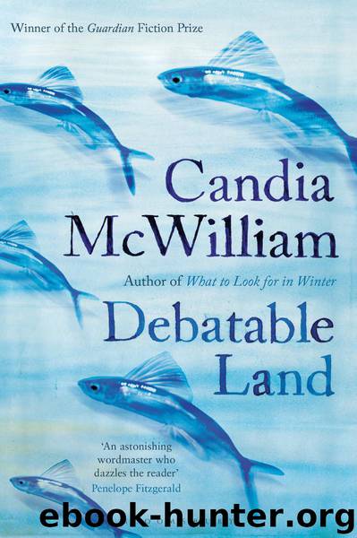Debatable Land by Candia McWilliam