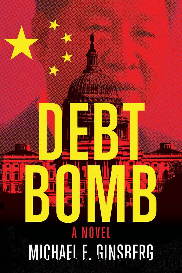 Debt Bomb by Michael Ginsberg
