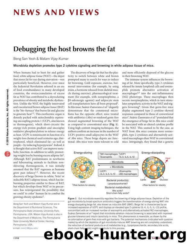 Debugging the host browns the fat by Beng San Yeoh & Matam Vijay-Kumar