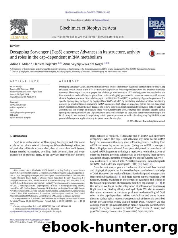 Decapping Scavenger (DcpS) enzyme: Advances in its structure, activity and roles in the cap-dependent mRNA metabolism by Adina L. Milac & Elzbieta Bojarska & Anna Wypijewska del Nogal