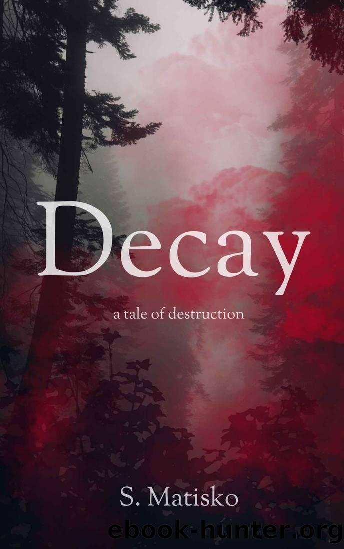 Decay: a tale of destruction by S. Matisko