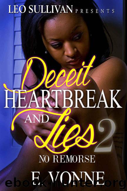 Deceit, Heartbreak & Lies 2 by E Vonne