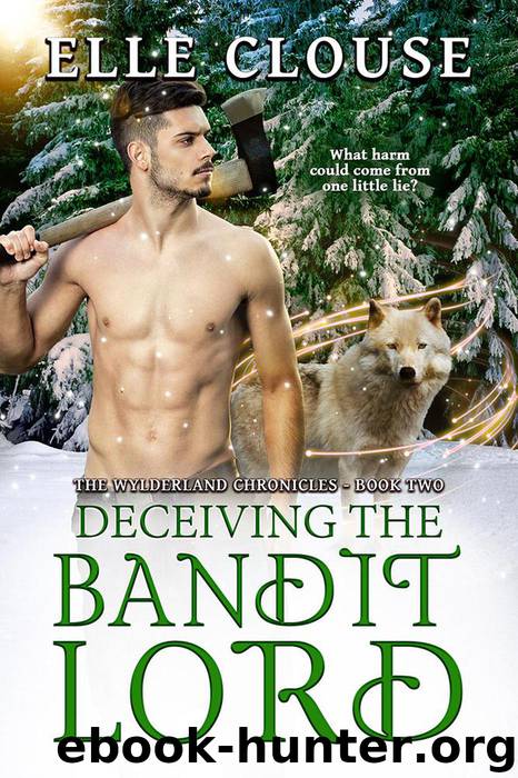 Deceiving the Bandit Lord by Elle Clouse