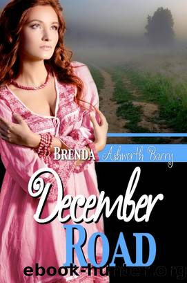 December Road by Brenda Ashworth-Barry