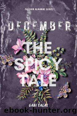 December: A Spicy Tale (The Passion Almanac: Magical Meetings) by Gabi Salas
