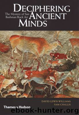 Deciphering Ancient Minds by David Lewis-Williams