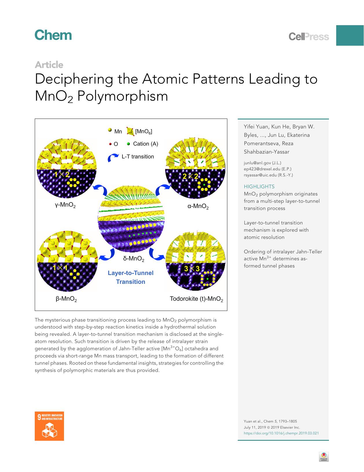 Deciphering the Atomic Patterns Leading to MnO2 Polymorphism by unknow