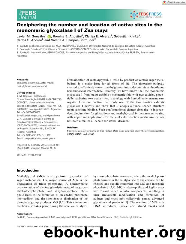 Deciphering the number and location of active sites in the monomeric glyoxalase I of Zea mays by Unknown