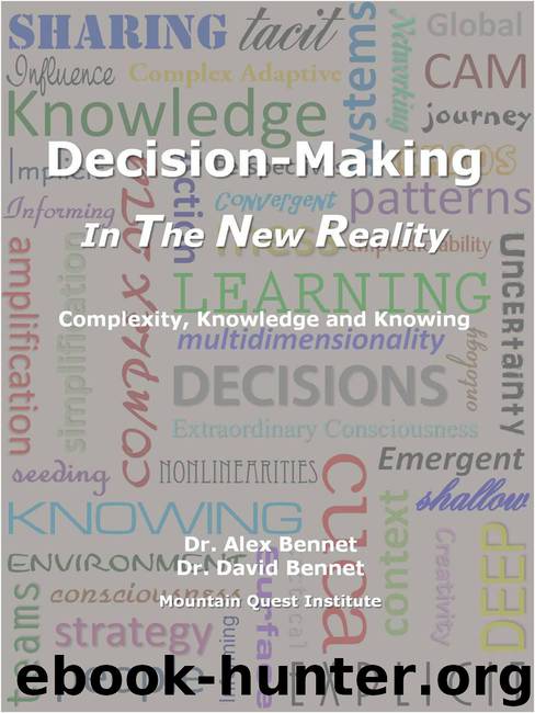 Decision Making in The New Reality: Complexity, Knowledge and Knowing by Alex Bennet & David Bennet