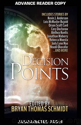 Decision Points by Bryan Thomas Schmidt