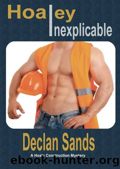 Declan Sands - Hoale Construction Mysteries 3 - Hoaley Inexplicable by Declan Sands