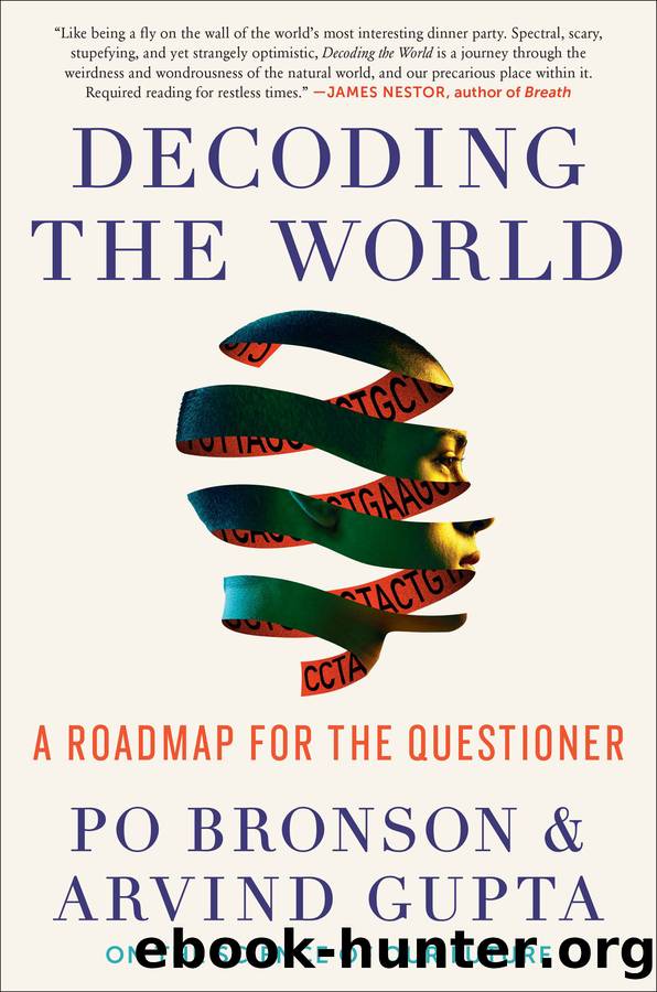 Decoding the World by Po Bronson