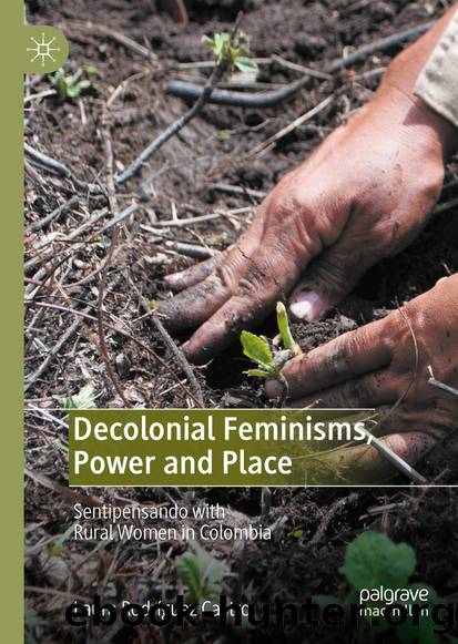 Decolonial Feminisms, Power and Place by Laura Rodríguez Castro