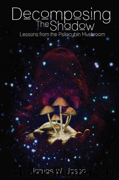 Decomposing The Shadow: Lessons From The Psilocybin Mushroom by James W. Jesso