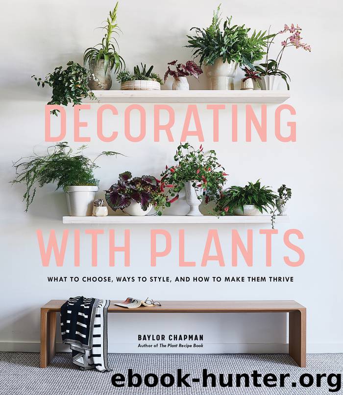 Decorating with Plants by Baylor Chapman