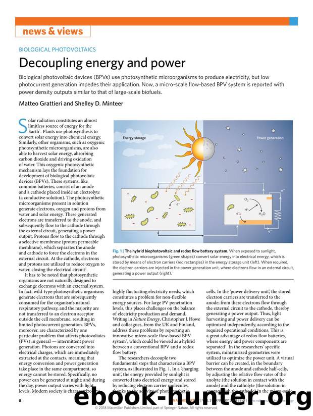 Decoupling energy and power by Matteo Grattieri & Shelley D. Minteer