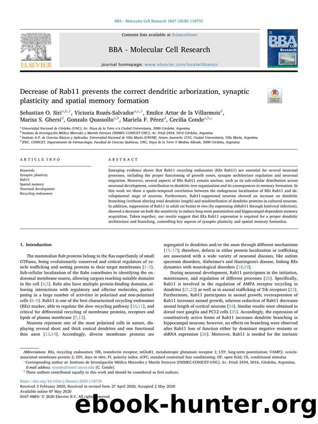 Decrease of Rab11 prevents the correct dendritic arborization, synaptic plasticity and spatial memory formation by unknow