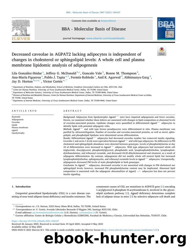 Decreased caveolae in AGPAT2 lacking adipocytes is independent of changes in cholesterol or sphingolipid levels: A whole cell and plasma membrane lipidomic analysis of adipogenesis by unknow