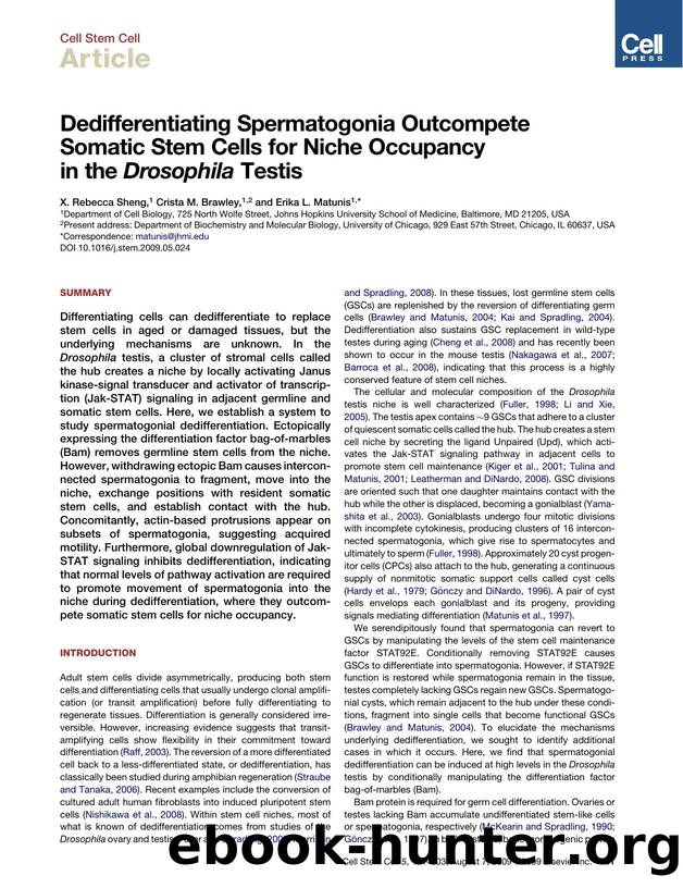 Dedifferentiating Spermatogonia Outcompete Somatic Stem Cells for Niche Occupancy in the Drosophila Testis by X. Rebecca Sheng; Crista M. Brawley; Erika L. Matunis
