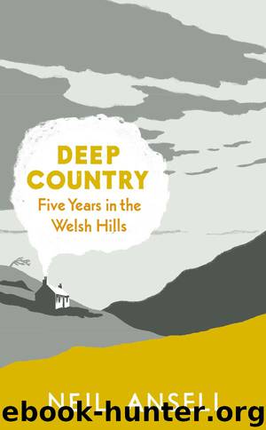 Deep Country by Neil Ansell
