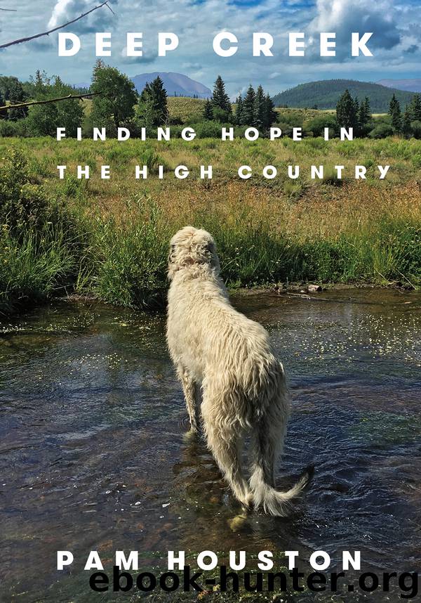 Deep Creek by Pam Houston