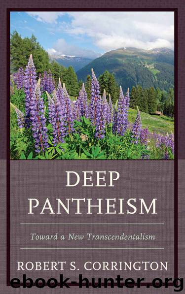 Deep Pantheism: Toward a New Transcendentalism by Corrington Robert S