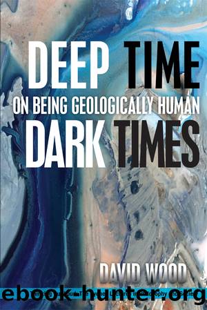Deep Time, Dark Times by Wood David;