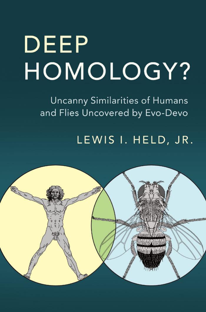 Deep homology?: uncanny similarities of humans and flies uncovered by evo-devo by Held Lewis I