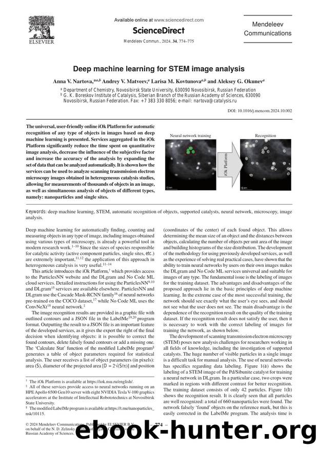 Deep machine learning for STEM image analysis by Anna V. Nartova & Andrey V. Matveev & Larisa M. Kovtunova & Aleksey G. Okunev