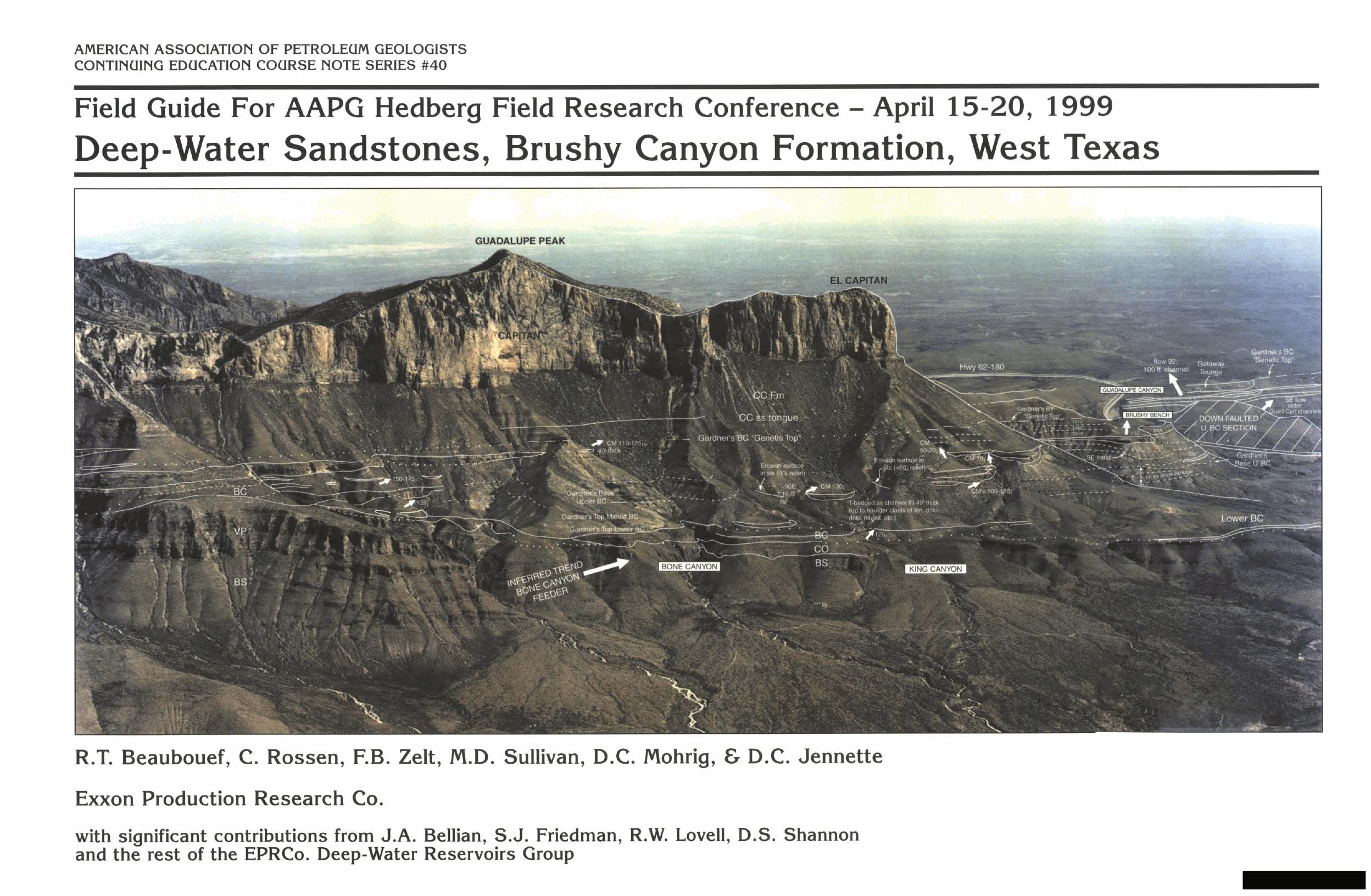 Deep-water sandstones, Brushy Canyon Formation, West Texas (AAPG Course Notes 40) by R.T. Beaubouef C. Rossen F.B. Zelt M.D. Sullivan D.C. Mohrig D.C. Jennette
