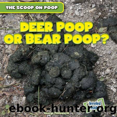 Deer Poop or Bear Poop? by George Fittleworth