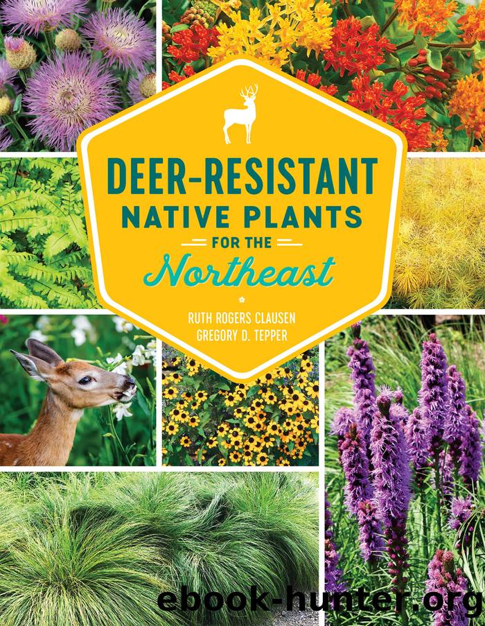 Deer-Resistant Native Plants for the Northeast by Ruth Rogers Clausen