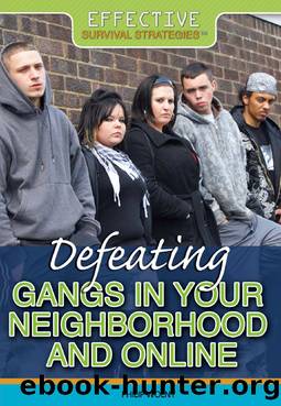 Defeating Gangs in Your Neighborhood and Online by Philip Wolny