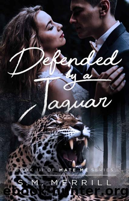 Defended By A Jaguar (Mate Me Book 4) by S.M. Merrill