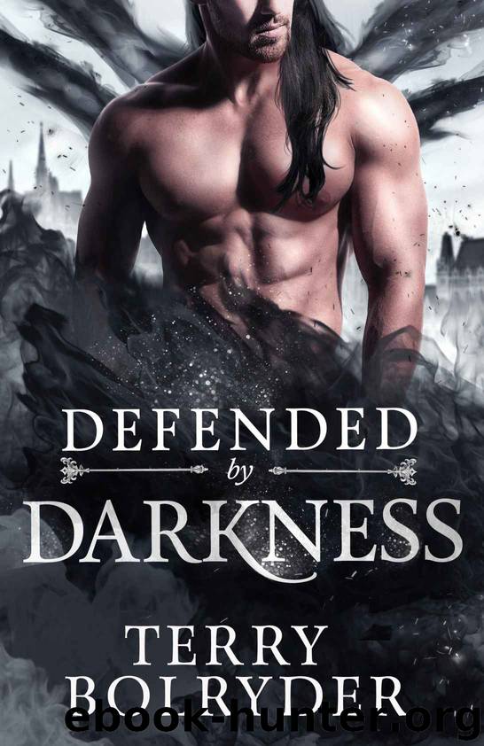 Defended By Darkness: Wings, Wands and Soul Bonds Book 2 by Bolryder Terry