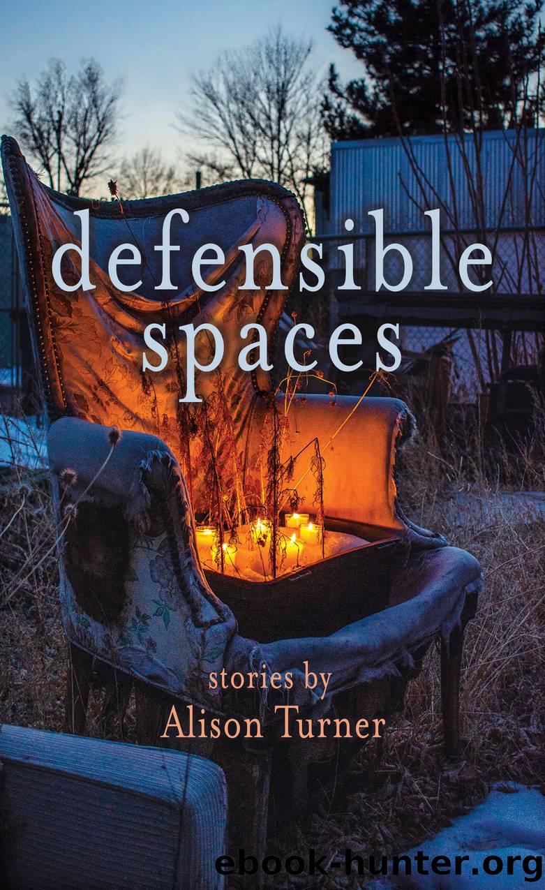 Defensible Spaces by Alison Turner