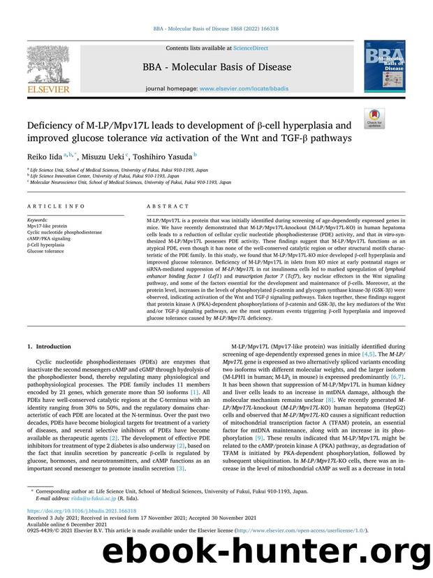 Deficiency of M-LPMpv17L leads to development of Î²-cell hyperplasia and improved glucose tolerance via activation of the Wnt and TGF-Î² pathways by Reiko Iida & Misuzu Ueki & Toshihiro Yasuda