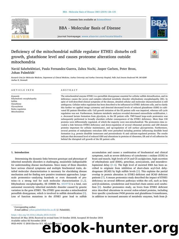 Deficiency of the mitochondrial sulfide regulator ETHE1 disturbs cell growth, glutathione level and causes proteome alterations outside mitochondria by unknow