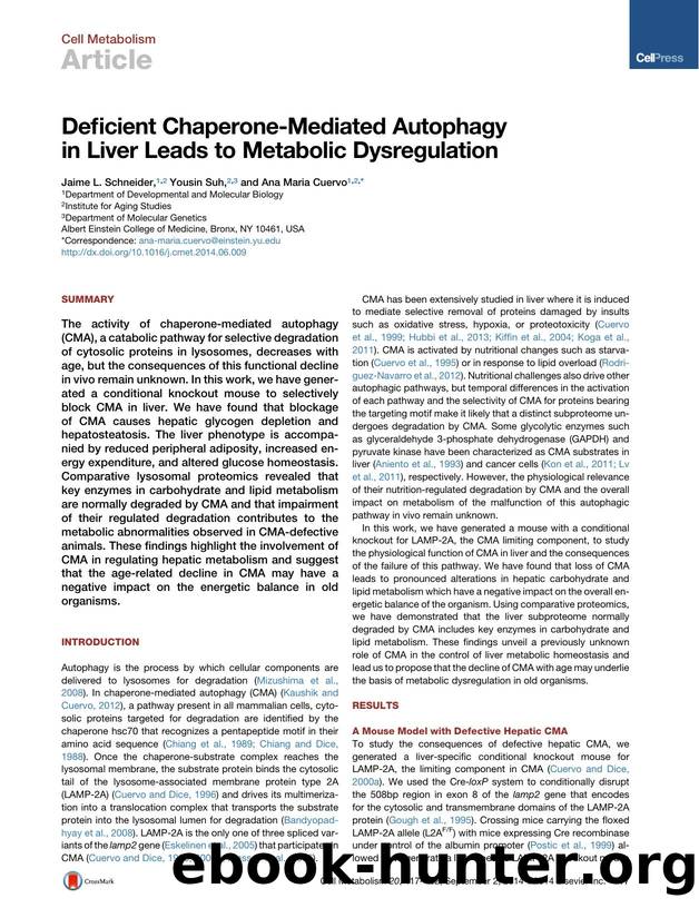 Deficient Chaperone-Mediated Autophagy in Liver Leads to Metabolic Dysregulation by Jaime L. Schneider & Yousin Suh & Ana Maria Cuervo