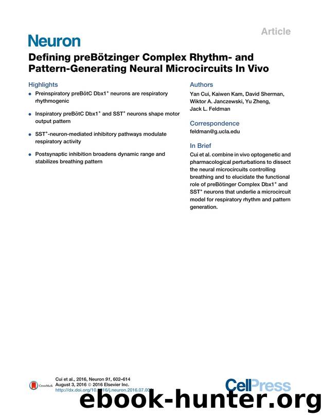 Defining preBOtzinger Complex Rhythm- and Pattern-Generating Neural Microcircuits In&nbsp;Vivo by Yan Cui & Kaiwen Kam & David Sherman & Wiktor A. Janczewski & Yu Zheng & Jack L. Feldman