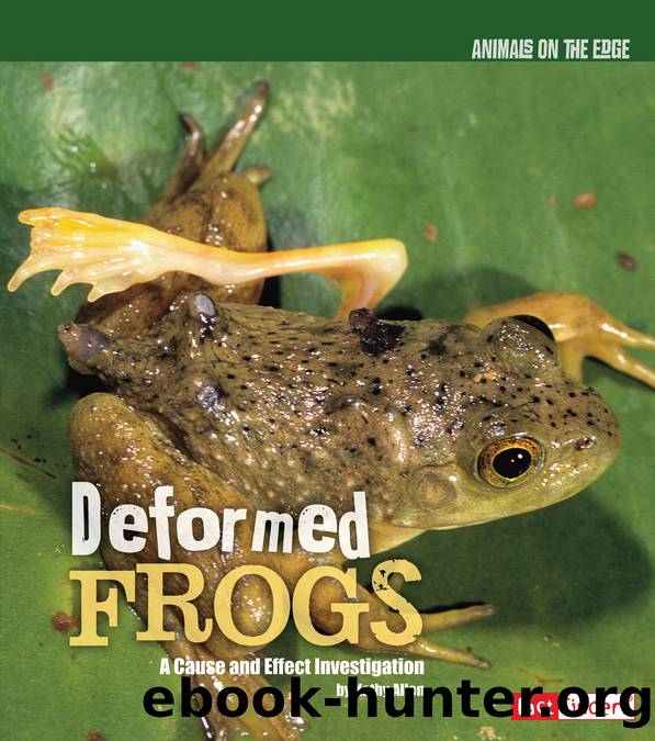 Deformed Frogs by Kathy Allen